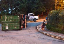 Morador de Guabiruba dedicou dois anos para construção de carro de madeira