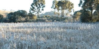 Tempo frio em Santa Catarina