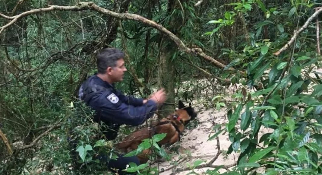 Corpo De Motorista De Aplicativo Desaparecido Em Sc é Encontrado Pela Polícia 8739