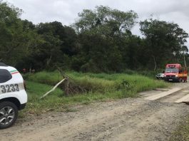 Em Araquari, corpos são encontrados amarrados