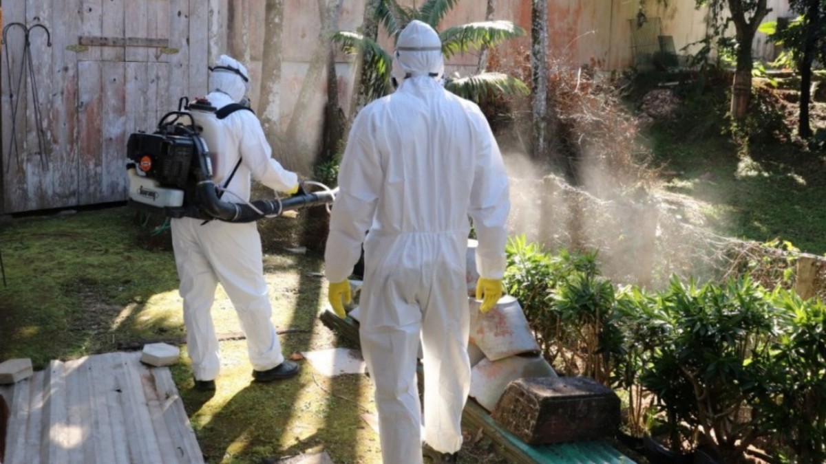 Tras registrar más de 200 casos y más de 1.800 brotes de mosquitos del dengue, Dive volverá a fumigar en Blumenau