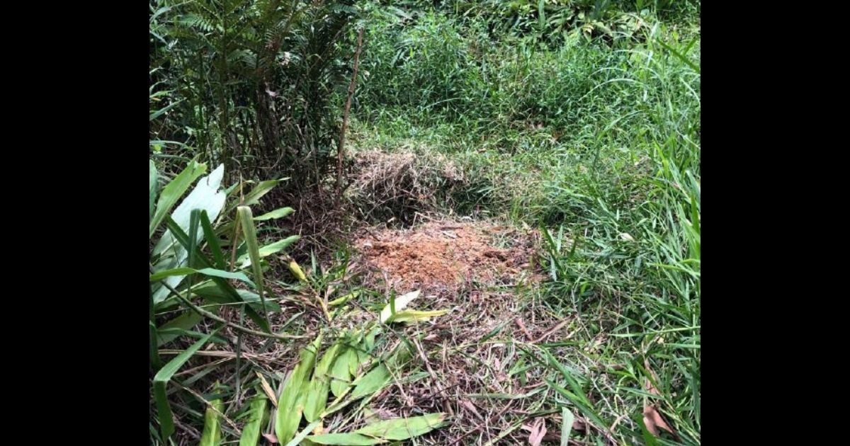 Corpo é encontrado em mata ao lado de pedra com sangue no bairro Progresso