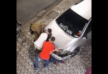 VÍDEO - Veja momento em que PM aborda motorista que atropelou duas pessoas em Blumenau