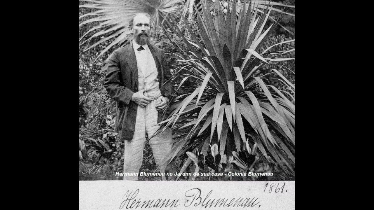 Diarinho de Blumenau - Vem aí o desenho pros blumenauanos