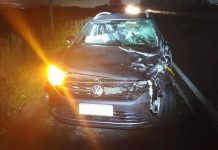 Carro danificado após atropelar boi