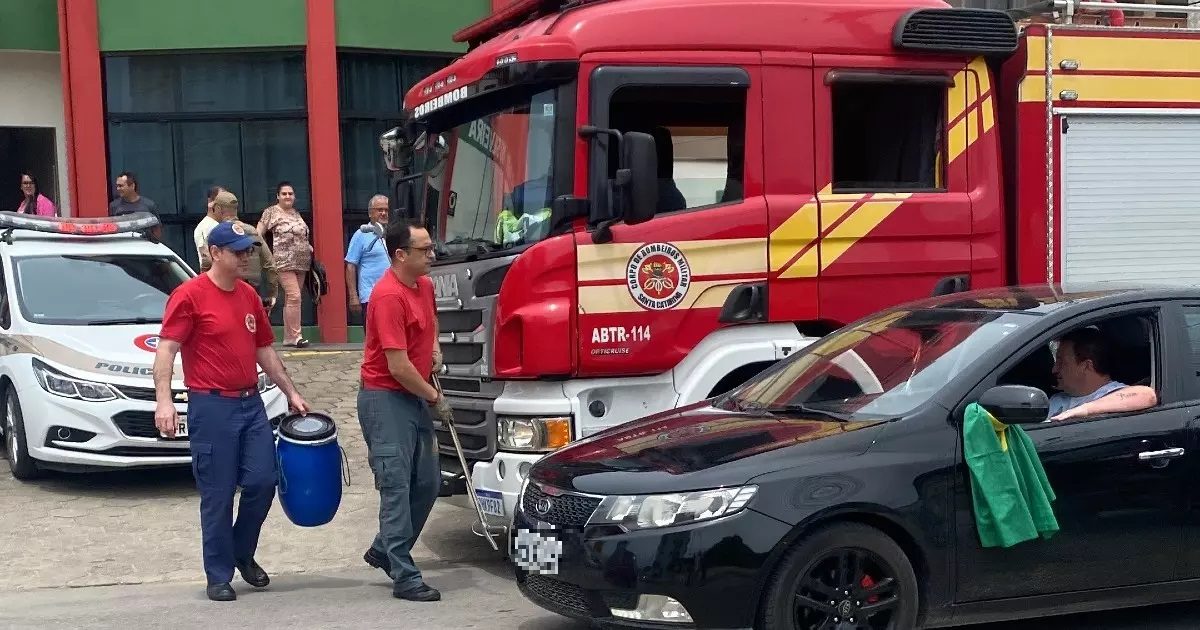 Corpo de Bombeiros é acionado após cobra ser encontrada em local de votação no Vale do Itajaí