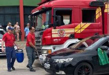 Corpo de Bombeiros é acionado após cobra ser encontrada em local de votação no Vale do Itajaí