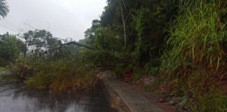 Prefeitura realiza alterações no trânsito de Blumenau devido queda de barreira e alagamentos