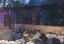 Depósito de reciclados fica destruído após ser atingido por incêndio em Blumenau