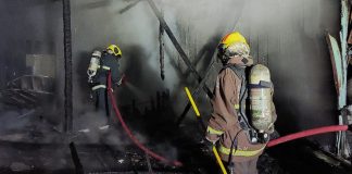 incêndio criminoso