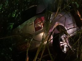 Motorista idoso fica ferido após colidir carro em árvore em Gaspar