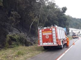 Fogueira para queimar lixo se espalha e causa incêndio em morro em Gaspar