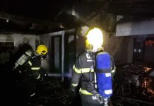 Gato é salvo após casa ser atingida por incêndio em Gaspar