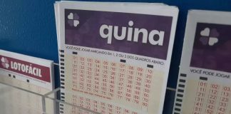 Quina 6481