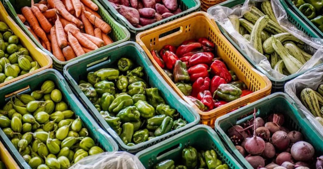 Alesc aprova projeto que institui Semana de Conscientização sobre a Perda e o Desperdício de Alimentos