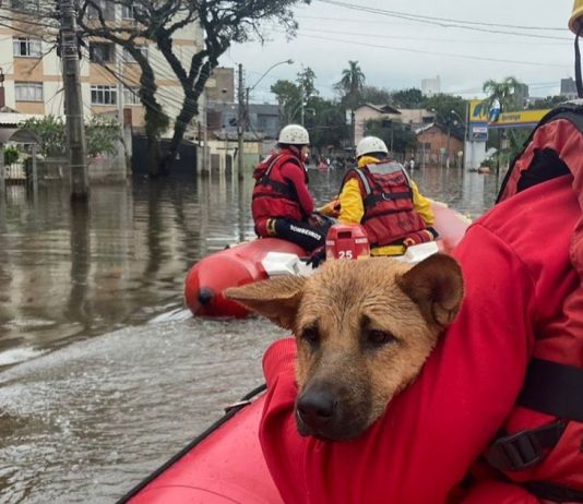 GALERIA - Bombeiros de Santa Catarina já resgataram mais de 3,5 mil vítimas no Rio Grande do Sul