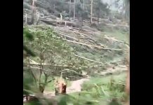 VÍDEO - Tornado atinge cidade no Oeste de Santa Catarina, diz Defesa Civil