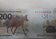 Moeda falsa encontrada em Blumenau