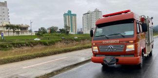 VÍDEO - Homem desaparece após tentar atravessar rio em Brusque