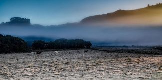 Intensa massa de ar frio deve trazer neve e chuva congelante a Santa Catarina