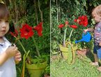 Pequeno blumenauense viraliza no Tiktok ao pedir para ajudar avô no jardim