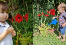 Pequeno blumenauense viraliza no Tiktok ao pedir para ajudar avô no jardim