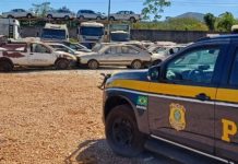 PRF realiza leilão de veículos apreendidos no Vale do Itajaí