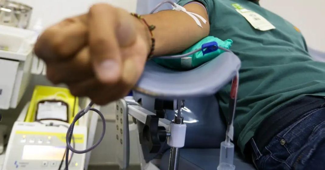 Vereadores aprovam meia-entrada para doadores de sangue e medula em espetáculos em Blumenau