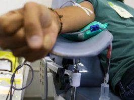 Vereadores aprovam meia-entrada para doadores de sangue e medula em espetáculos em Blumenau