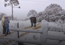 Neve à vista em Santa Catarina: confira regiões onde há possibilidade do fenômeno acontecer