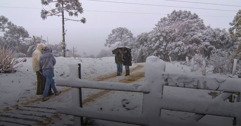 Neve à vista em Santa Catarina: confira regiões onde há possibilidade do fenômeno acontecer