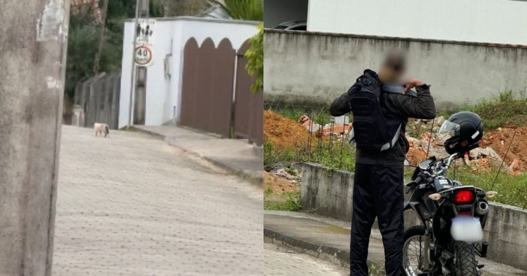 VÍDEO - Homem é flagrado abandonando gato e responderá por maus-tratos em Blumenau