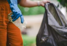 Com a chegada da primavera, veja orientações e cuidados com a dengue em SC