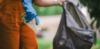 Com a chegada da primavera, veja orientações e cuidados com a dengue em SC