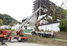 Corte de árvore deixa via temporariamente interditada no Centro de Blumenau