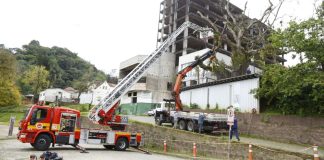 Corte de árvore deixa via temporariamente interditada no Centro de Blumenau