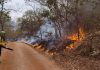 Confira detalhes da atuação dos bombeiros catarinenses no combate aos incêndios no Mato Grosso