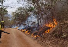 Confira detalhes da atuação dos bombeiros catarinenses no combate aos incêndios no Mato Grosso