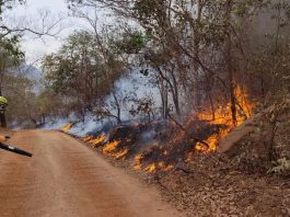 Confira detalhes da atuação dos bombeiros catarinenses no combate aos incêndios no Mato Grosso