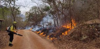 Confira detalhes da atuação dos bombeiros catarinenses no combate aos incêndios no Mato Grosso