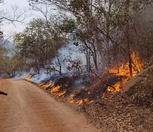 Confira detalhes da atuação dos bombeiros catarinenses no combate aos incêndios no Mato Grosso