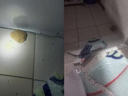 Supermercado é arrombado com pedradas e furtado no bairro Itoupava Norte, em Blumenau