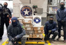 Receita Federal apreende em Navegantes quase meia tonelada de cocaína que ia para Hong Kong