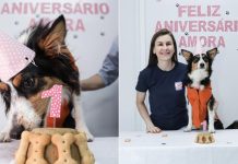 GALERIA - Mascote da Defesa Civil de Blumenau celebra aniversário de um ano