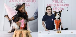 GALERIA - Mascote da Defesa Civil de Blumenau celebra aniversário de um ano