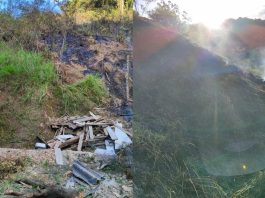 Incêndio em vegetação se alastra e quase atinge casas de madeira em Gaspar