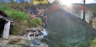 Incêndio em vegetação se alastra e quase atinge casas de madeira em Gaspar