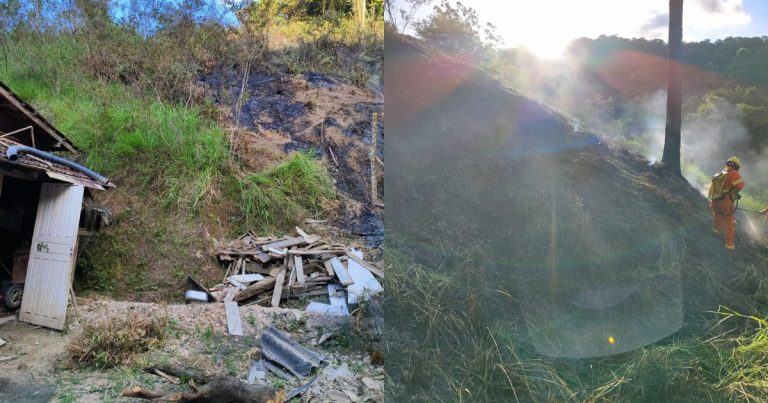 Incêndio em vegetação se alastra e quase atinge casas de madeira em Gaspar