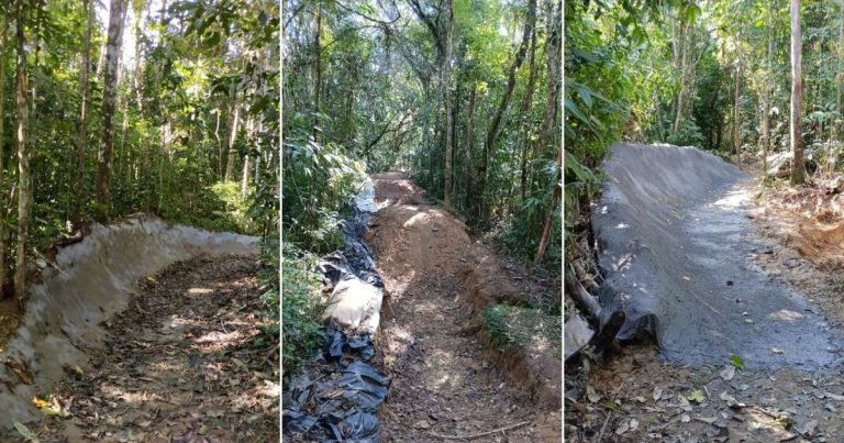 Invasão e construção de pistas de bike: MP-SC investiga suposta infração ambiental na Ilha dos Trapalhões em Indaial