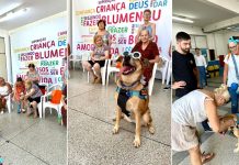 Pró-Família inicia terapia com cães após indicação de vereador de Blumenau